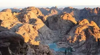 ما هو الطور