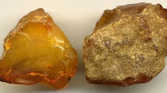 ما هو الكهرمان