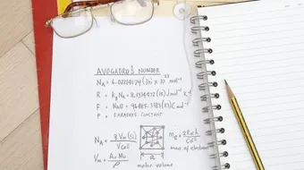 ما هو عدد افوجادرو