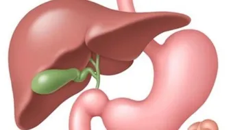 ما هي المرارة