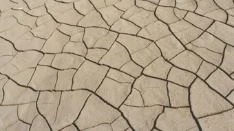 ماذا يسمى جفاف الأرض تدريجياً