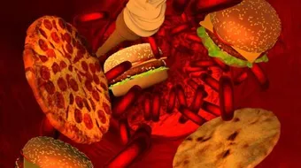 ما هو الكوليسترول