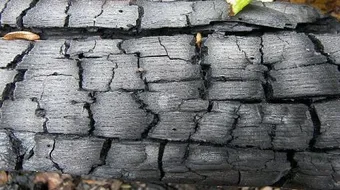 ما هو فحم الكوك