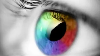 ما هو عمى الالوان