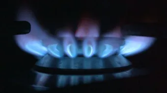 ما هو غاز الطبخ