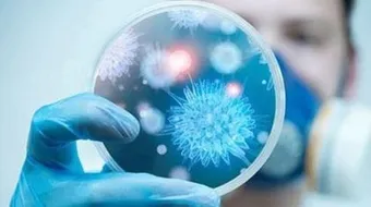 ما هو فيروس كورونا