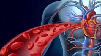 ما هو قصور الشريان التاجي
