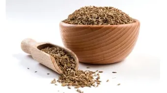 ما هو الكمون