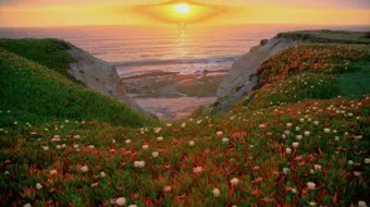 ما هو يوم الأرض