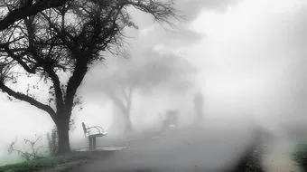 ما هو الضباب