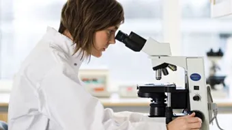 ما هو تحليل FSH