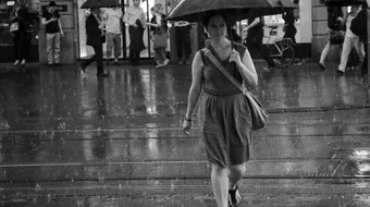 ما هو الغيث