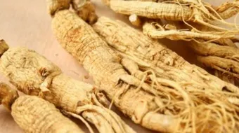 ما هو الجنسنج