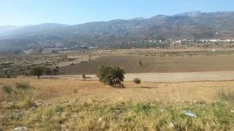 ما هو الهكتار