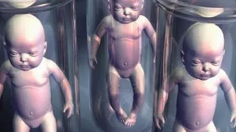 ماذا يختلف التلقيح الصناعي عن اطفال الانابيب