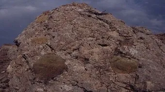 ما هو جبل الجودي