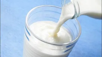 ما هو اللاكتوز