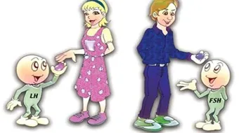 ما هو هرمون LH