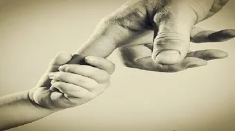 ما المقصود ببر الوالدين