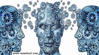 ما هي الذاكرة