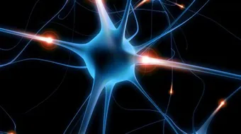 ما هو تلف الأعصاب