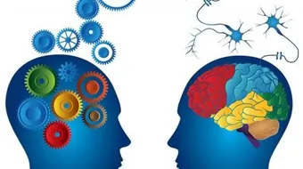 ما هي البرمجة العصبية