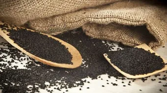 ما هي حبة البركة