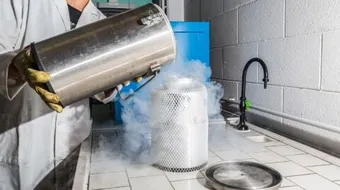 ما هو غاز النيتروجين