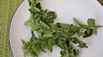 ما هو الأوريجانو