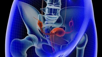 ما هو احتقان الحوض