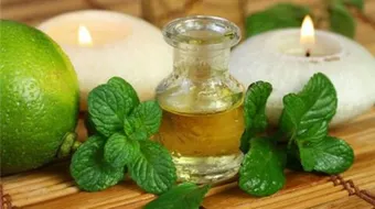 ما هو زيت النعناع