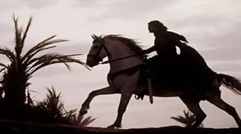 بم اشتهر صلاح الدين الأيوبي