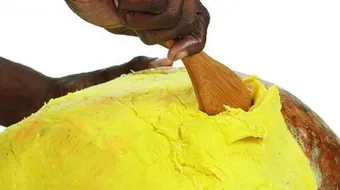 ما هي زبدة الشيا