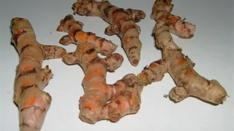 ما هو عود النقع