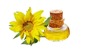 ما هو زيت دوار الشمس