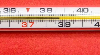 ما هو معدل حرارة جسم الإنسان