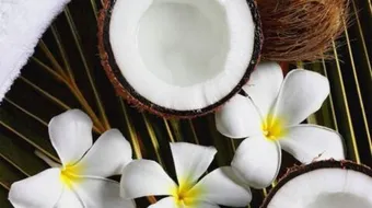 ما فائدة جوز الهند للجسم