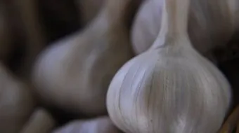 ما هو فائدة الثوم