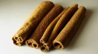 ما فائدة الدارسين للحامل