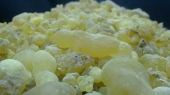 ما فائدة لبان الذكر للبشرة