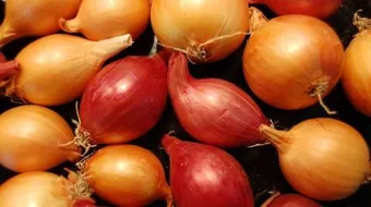 ما فائدة البصل