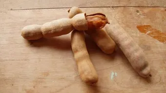 ما فائدة التمر الهندي