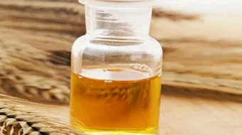 ما فائدة زيت جنين القمح للبشرة