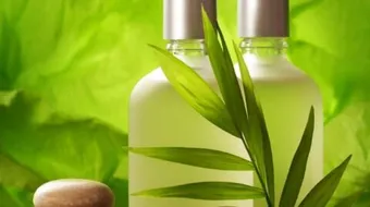 ما هو أفضل شامبو طبيعي للشعر الدهني