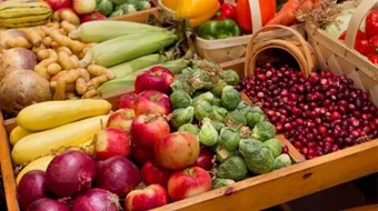 ما هي التغذية الأفضل للحفاظ على جهاز المناعة