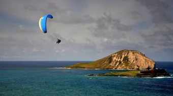 ما هو أكبر المحيطات في العالم