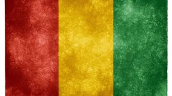 ما عاصمة غينيا