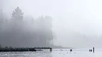 ما هو سبب الضباب