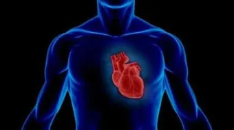 ما هو سبب زيادة ضربات القلب