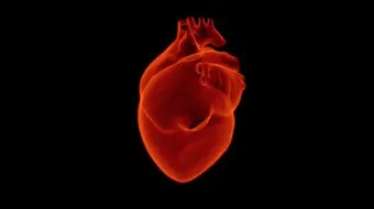 ما هو سبب ضعف عضلة القلب